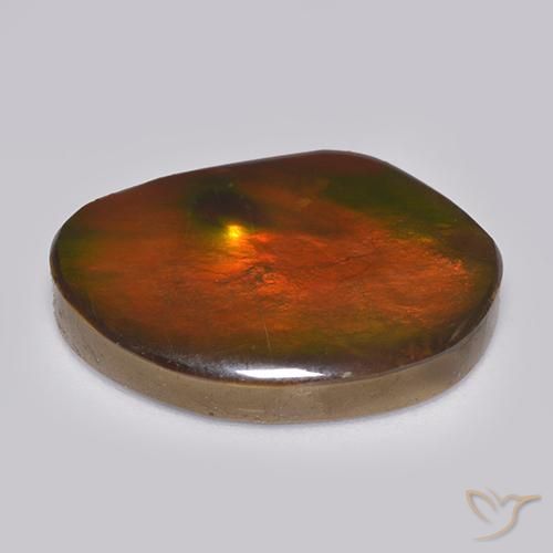 Ammolite Multicolore naturale da 21.29 ct, Taglio a fantasia, Opaco