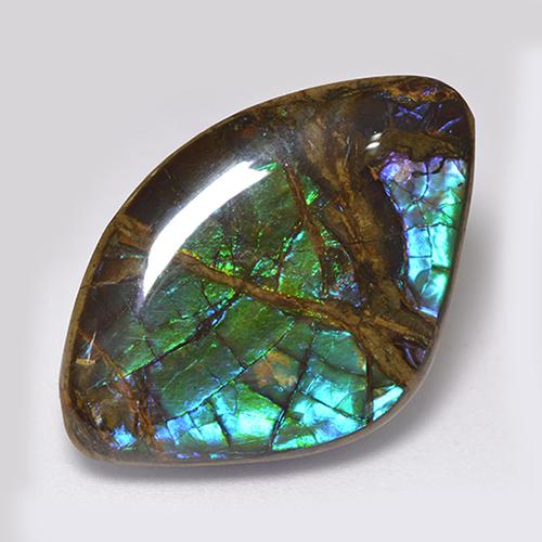 Ammolite naturale multicolore da 18,11 ct, forma fantasia, opaco