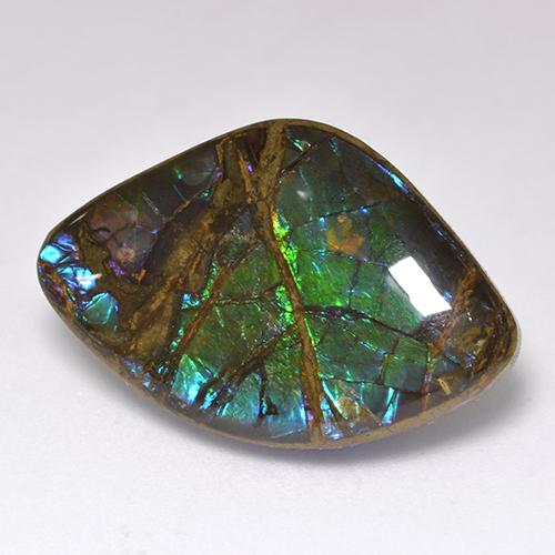 Ammolite naturale multicolore da 18,11 ct, forma fantasia, opaco