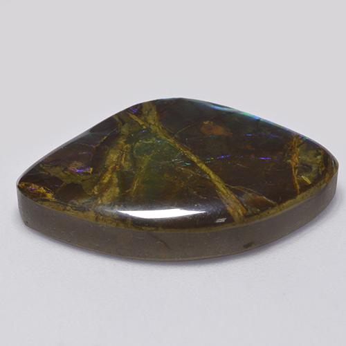 Ammolite naturale multicolore da 18,11 ct, forma fantasia, opaco