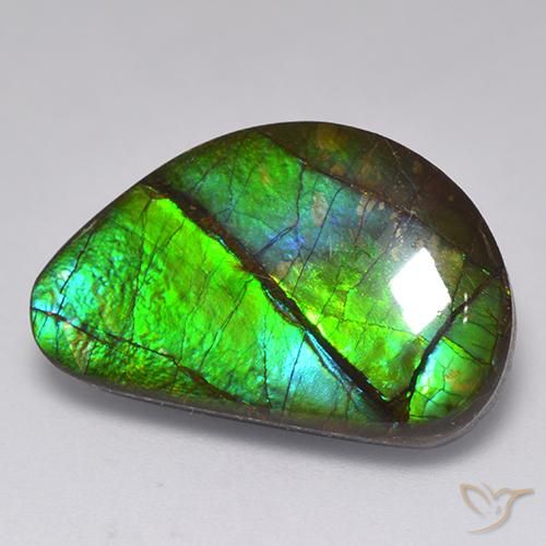 15.82ct Naturale Multicolore Ammolite, Taglio a fantasia, Opaco
