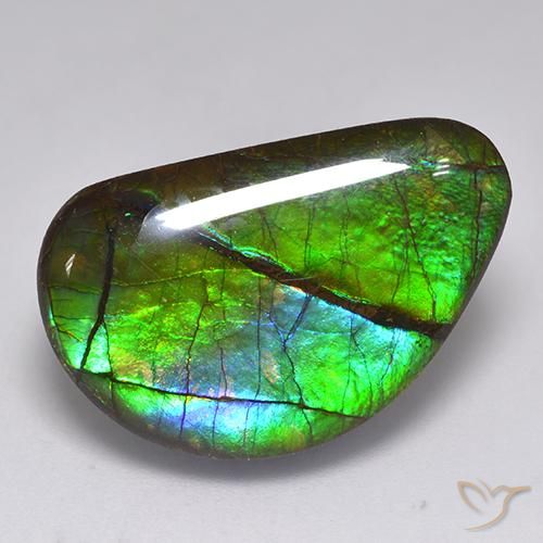 Ammolite Multicolore naturale da 15.82 ct, Taglio a fantasia, Opaco