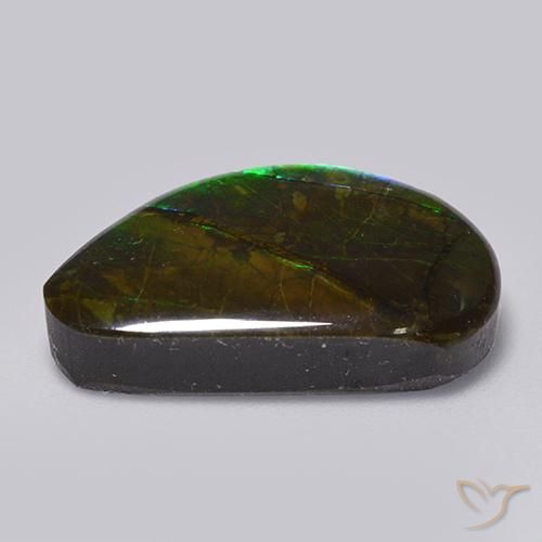 Ammolite Multicolore naturale da 15.82 ct, Taglio a fantasia, Opaco