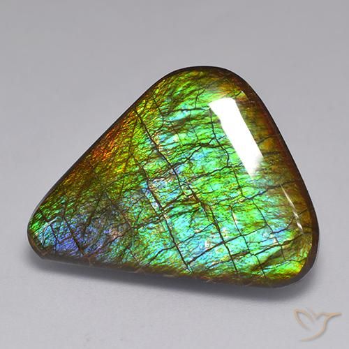 19.82ct Naturale Multicolore Ammolite, Taglio a fantasia, Opaco