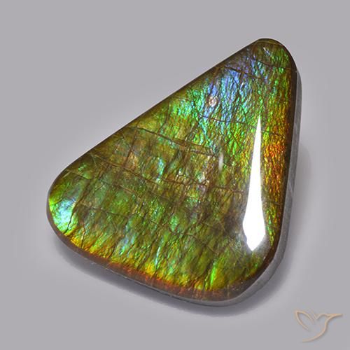 Ammolite Multicolore naturale da 19.82 ct, Taglio a fantasia, Opaco