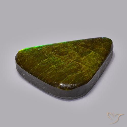 Ammolite Multicolore naturale da 19.82 ct, Taglio a fantasia, Opaco