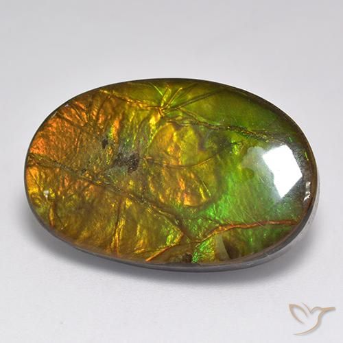 18.91ct Naturale Multicolore Ammolite, Ovale, Opaco