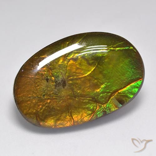 Ammolite Multicolore naturale da 18.91 ct, Ovale, Opaco