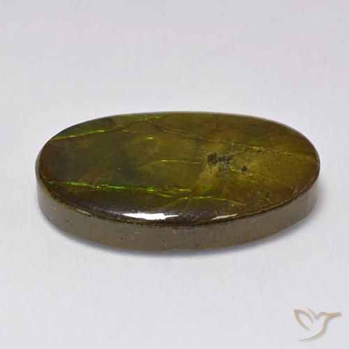 Ammolite Multicolore naturale da 18.91 ct, Ovale, Opaco