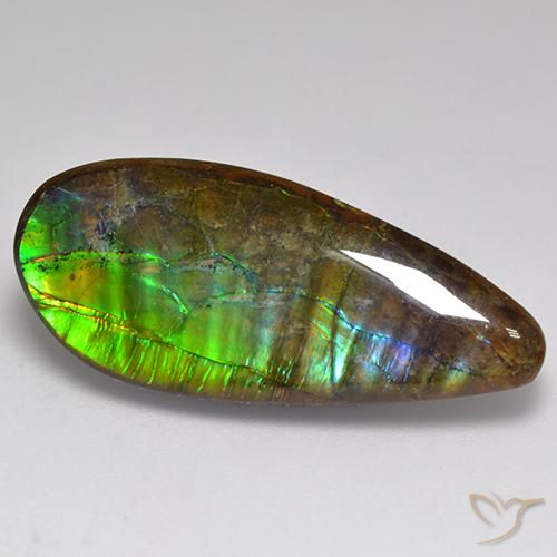 20.06ct Naturale Multicolore Ammolite, Taglio a fantasia, Opaco