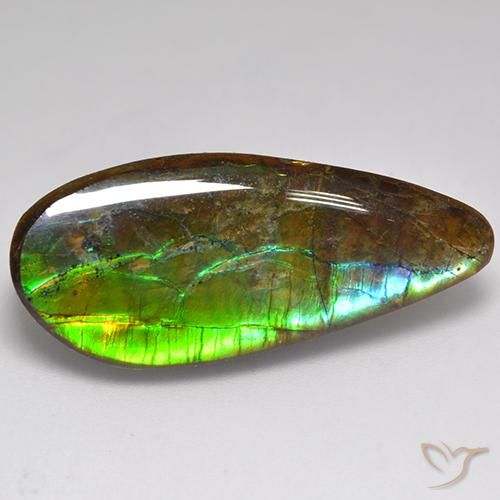 Ammolite Multicolore naturale da 20.06 ct, Taglio a fantasia, Opaco