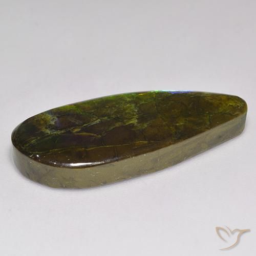 Ammolite Multicolore naturale da 20.06 ct, Taglio a fantasia, Opaco
