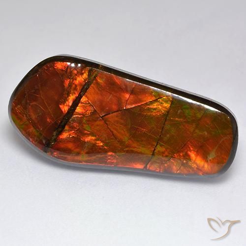 15.53ct Naturale Multicolore Ammolite, Taglio a fantasia, Opaco