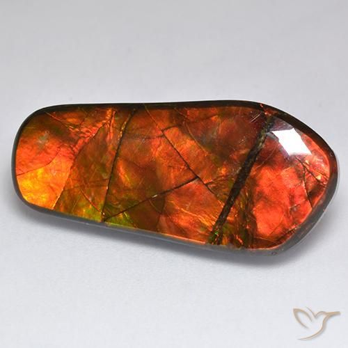 Ammolite Multicolore naturale da 15.53 ct, Taglio a fantasia, Opaco