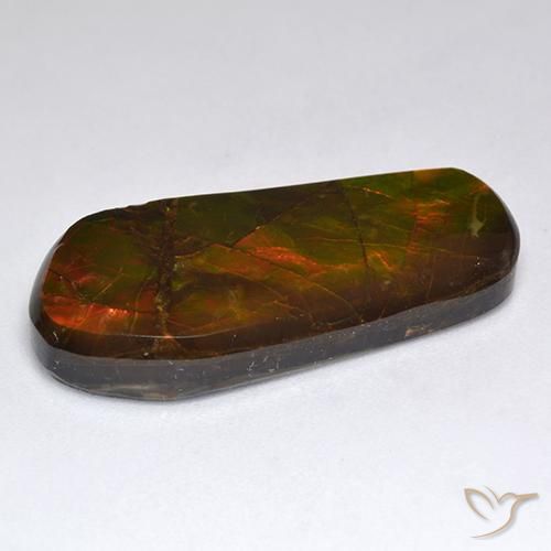 Ammolite Multicolore naturale da 15.53 ct, Taglio a fantasia, Opaco