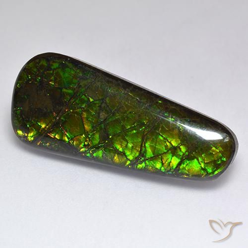17.04ct Naturale Multicolore Ammolite, Taglio a fantasia, Opaco
