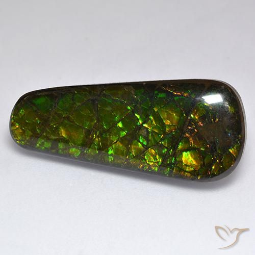 Ammolite Multicolore naturale da 17.04 ct, Taglio a fantasia, Opaco