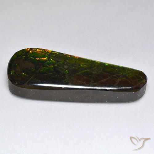 Ammolite Multicolore naturale da 17.04 ct, Taglio a fantasia, Opaco