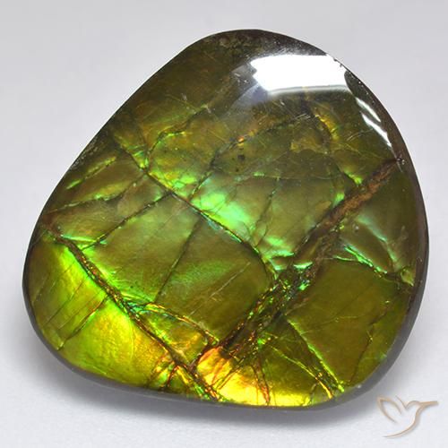 18.81ct Naturale Multicolore Ammolite, Taglio a fantasia, Opaco