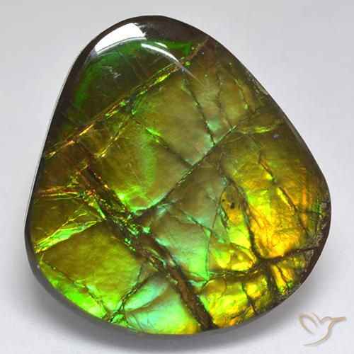 Ammolite Multicolore naturale da 18.81 ct, Taglio a fantasia, Opaco