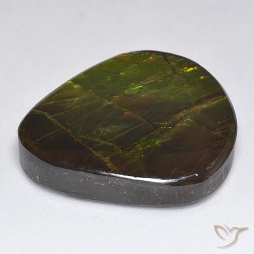 Ammolite Multicolore naturale da 18.81 ct, Taglio a fantasia, Opaco