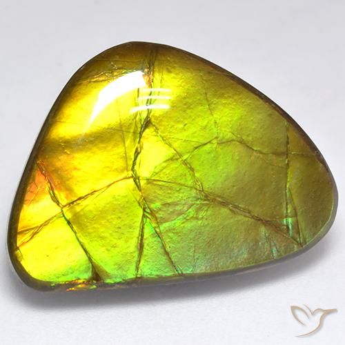 19.06ct Naturale Multicolore Ammolite, Taglio a fantasia, Opaco