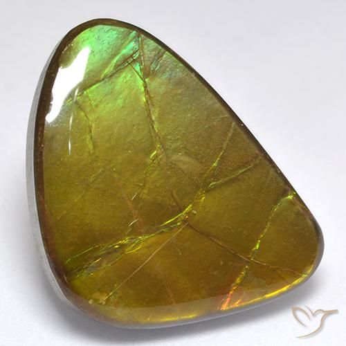 Ammolite Multicolore naturale da 19.06 ct, Taglio a fantasia, Opaco