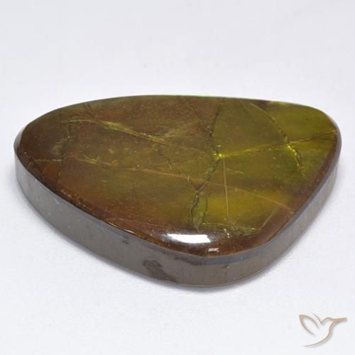 Ammolite Multicolore naturale da 19.06 ct, Taglio a fantasia, Opaco