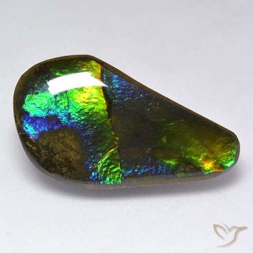 11.35ct Naturale Multicolore Ammolite, Taglio a fantasia, Opaco