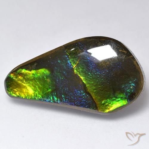 Ammolite Multicolore naturale da 11.35 ct, Taglio a fantasia, Opaco