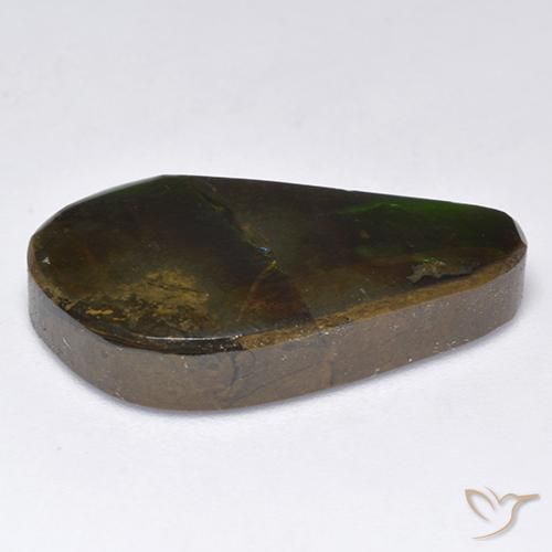 Ammolite Multicolore naturale da 11.35 ct, Taglio a fantasia, Opaco