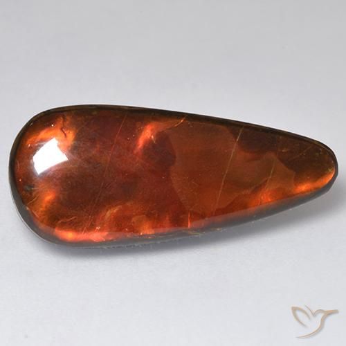 13.57ct Naturale Multicolore Ammolite, Taglio a fantasia, Opaco