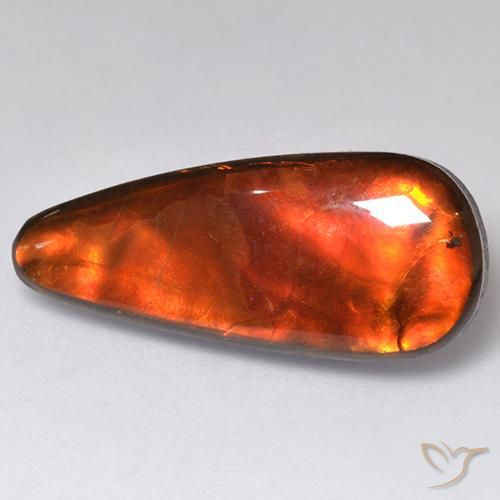 Ammolite Multicolore naturale da 13.57 ct, Taglio a fantasia, Opaco