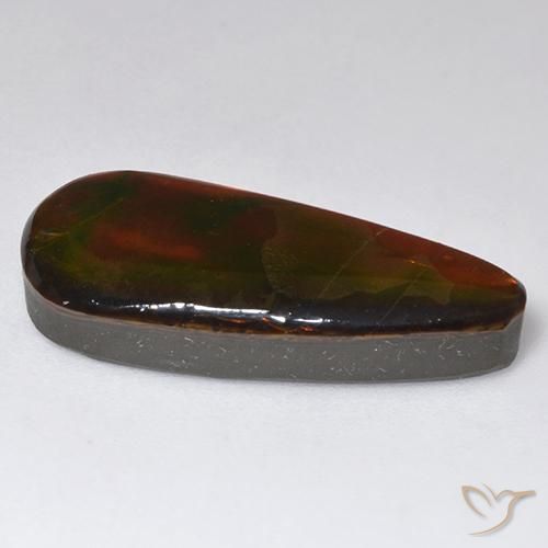 Ammolite Multicolore naturale da 13.57 ct, Taglio a fantasia, Opaco
