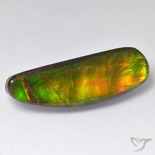 11.01ct Naturale Multicolore Ammolite, Taglio a fantasia, Opaco