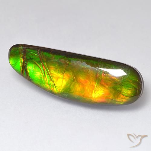 Ammolite Multicolore naturale da 11.01 ct, Taglio a fantasia, Opaco