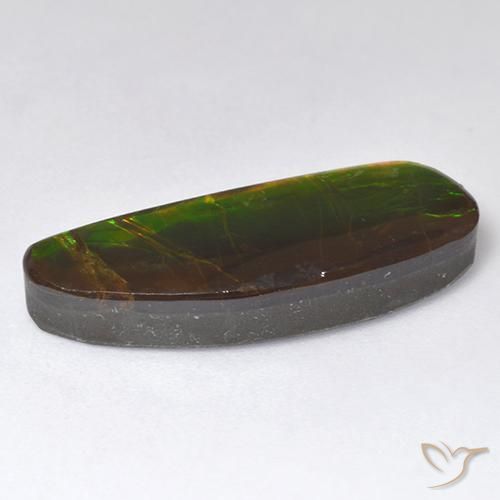 Ammolite Multicolore naturale da 11.01 ct, Taglio a fantasia, Opaco
