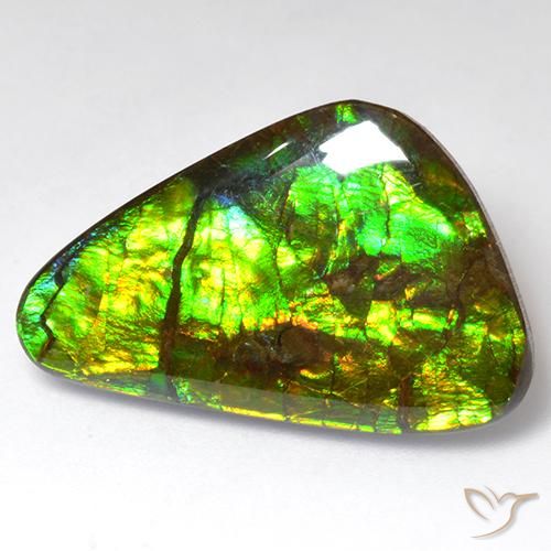 18.51ct Naturale Multicolore Ammolite, Taglio a fantasia, Opaco