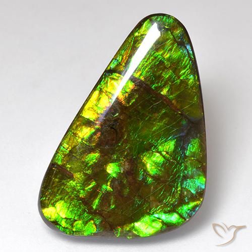 Ammolite Multicolore naturale da 18.51 ct, Taglio a fantasia, Opaco