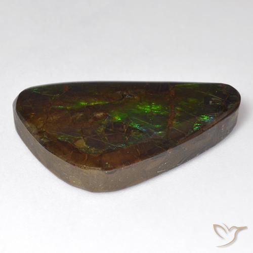Ammolite Multicolore naturale da 18.51 ct, Taglio a fantasia, Opaco