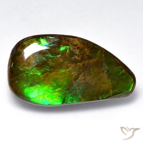 12.04ct Naturale Multicolore Ammolite, Taglio a fantasia, Opaco