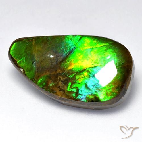 Ammolite Multicolore naturale da 12.04 ct, Taglio a fantasia, Opaco
