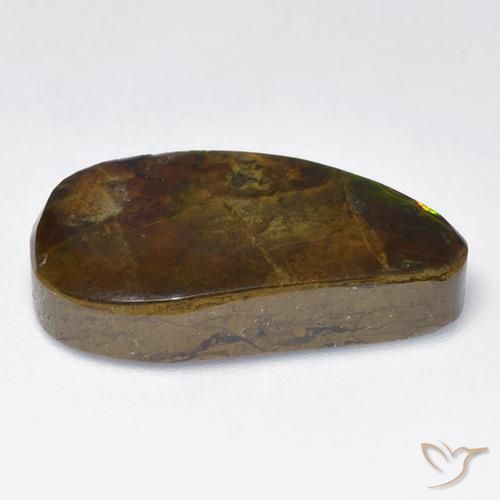 Ammolite Multicolore naturale da 12.04 ct, Taglio a fantasia, Opaco