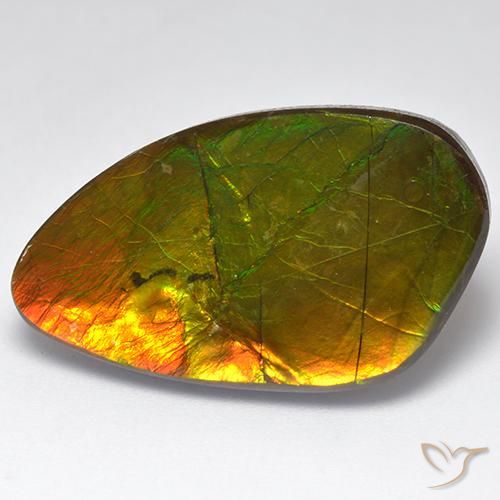 22.28ct Naturale Multicolore Ammolite, Taglio a fantasia, Opaco