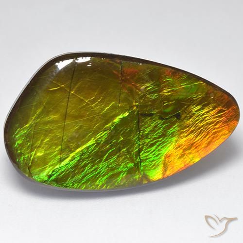 Ammolite Multicolore naturale da 22.28 ct, Taglio a fantasia, Opaco