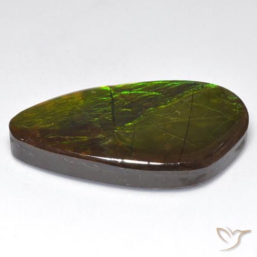 Ammolite Multicolore naturale da 22.28 ct, Taglio a fantasia, Opaco