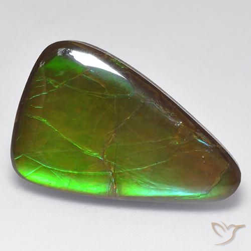 16.16ct Naturale Multicolore Ammolite, Taglio a fantasia, Opaco