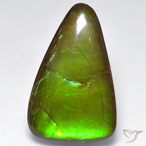 Ammolite Multicolore naturale da 16.16 ct, Taglio a fantasia, Opaco