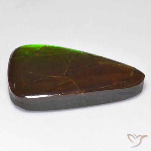Ammolite Multicolore naturale da 16.16 ct, Taglio a fantasia, Opaco