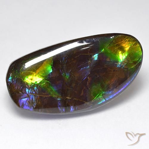 16.71ct Naturale Multicolore Ammolite, Taglio a fantasia, Opaco